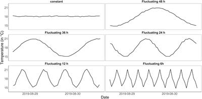 Phytoplankton Community Performance Depends on the Frequency of Temperature Fluctuations